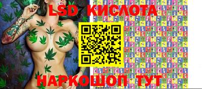 дмт Краснознаменск