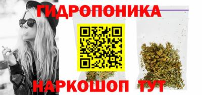 СК Краснодар