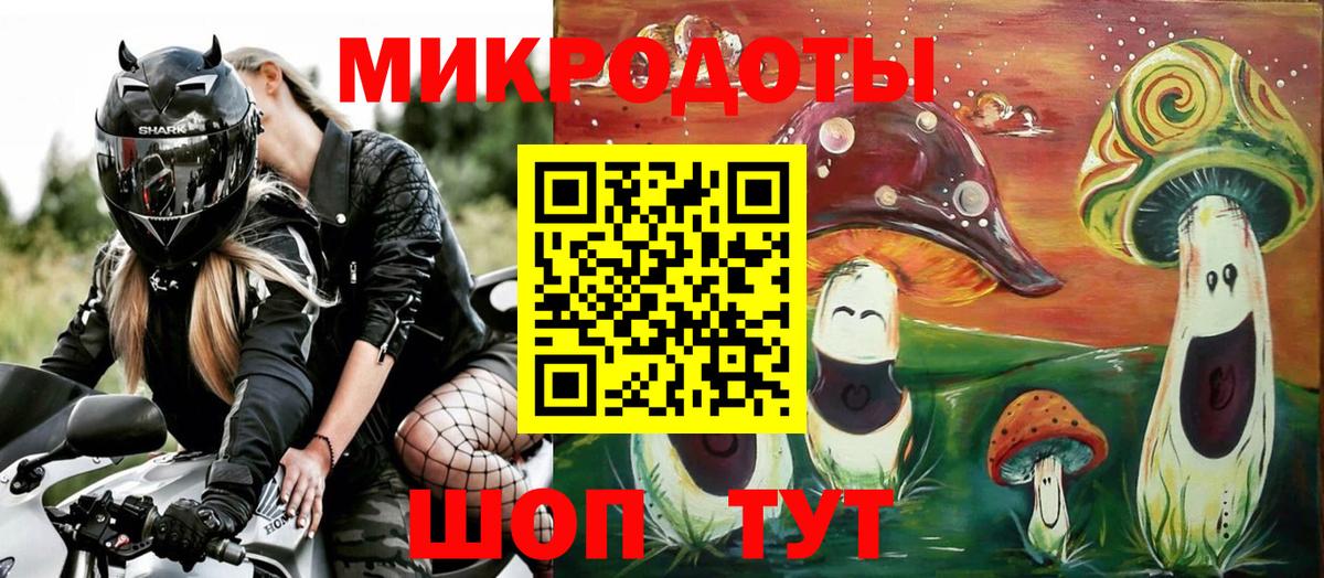 Камень-на-Оби  цена наркотик  Вход с VPN  Псилоцибиновые грибы Psilocybine cubensis 