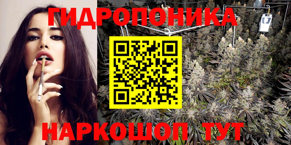 Камень-на-Оби  МАРИХУАНА сатива  Вход с VPN  Каннабис индика  Каннабис SATIVA & INDICA  Бошки Шишки OG Kush 